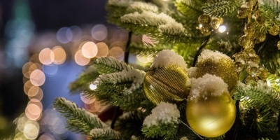 Программа новогодних и рождественских мероприятий в Могилеве 